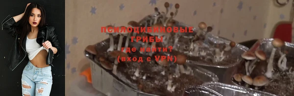 ECSTASY Армянск