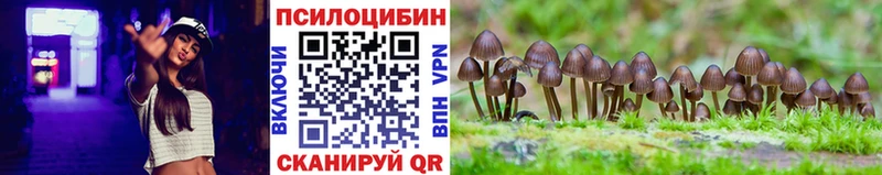 Псилоцибиновые грибы прущие грибы  Люберцы 